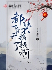 飞升得什么东西