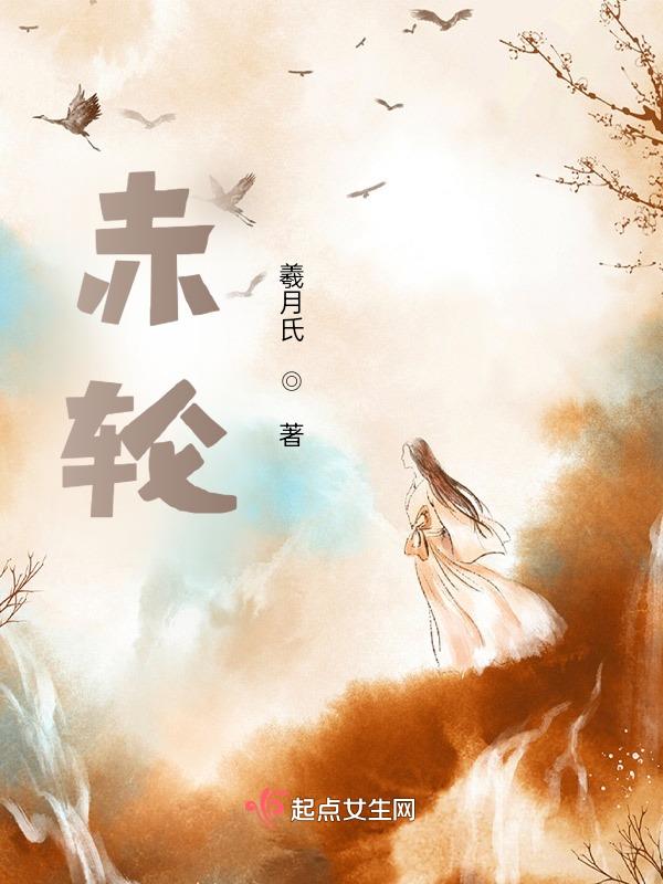 齿轮泵压力腔