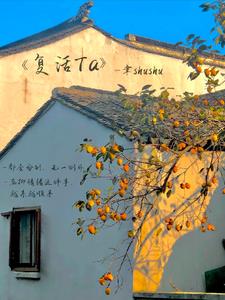 复活txt免费