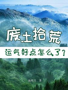 废土神作
