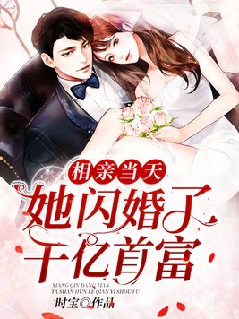 相亲闪婚文