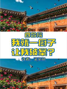 四合院 一进